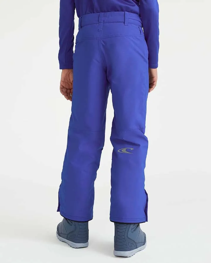 O'Neill Kids' Hammer Pants - Surf The Web Blue